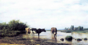 Коровы на водопое