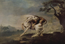 Лев, напавший на лошадь