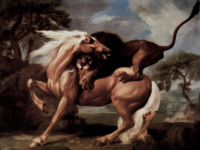 Лев, нападающий на лошадь