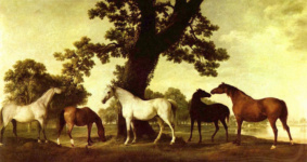 Кони на фоне пейзажа