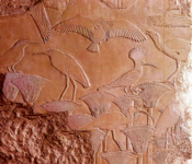 Поминальный храм Усеркафа: рельеф с изображением птиц в зарослях папируса