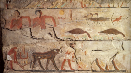 Гробница Нефермаата: рельефы, заполненные цветной пастой, со сценой охоты (2)