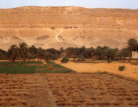 Вид от берега Нила на восток