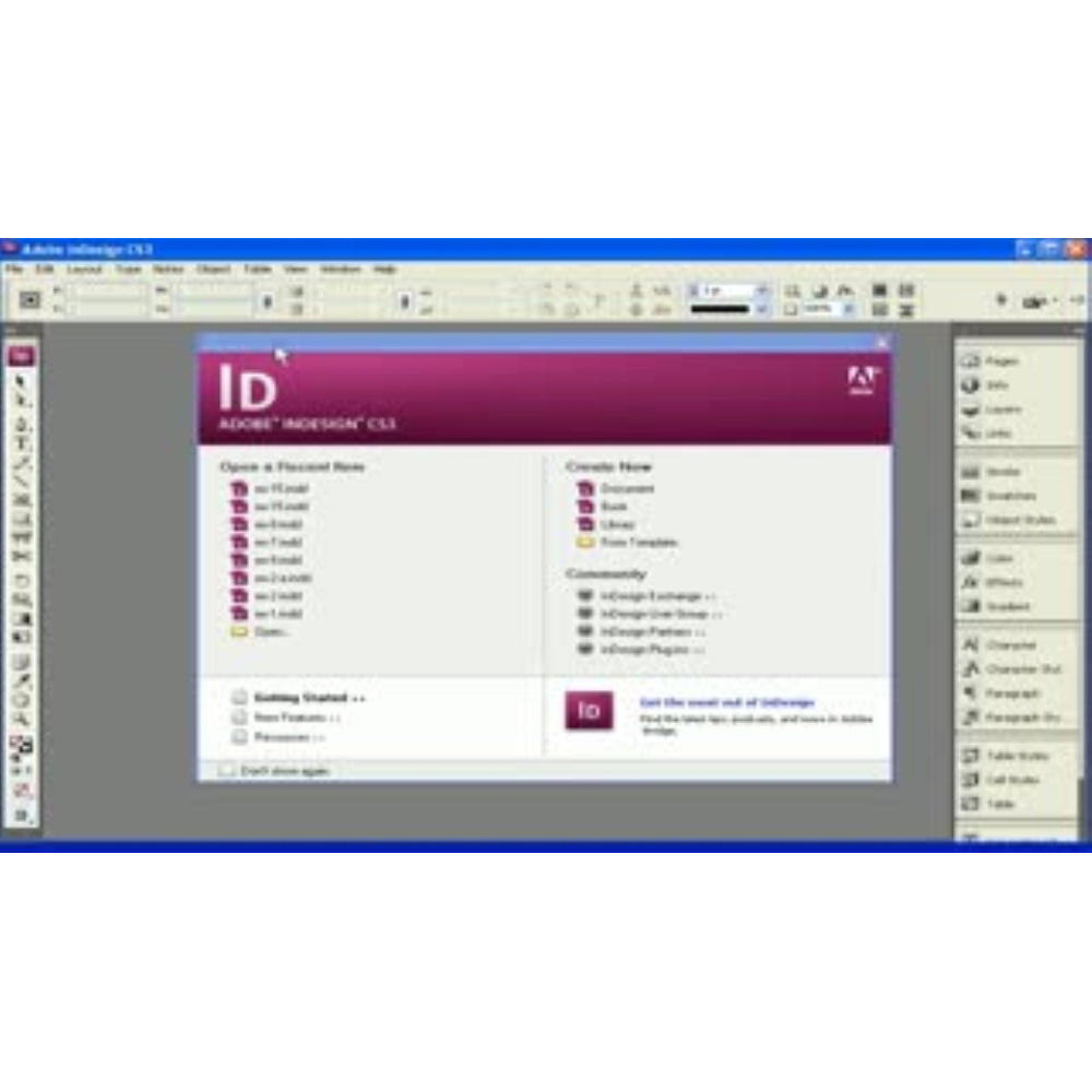 Введение в Adobe InDesign CS3 обучающее видео онлайн в ЭБС.