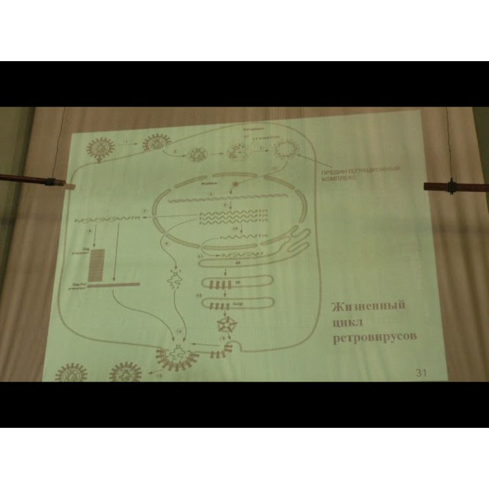 Вирусология. Ретровирусы. ДНК-содержащие вирусы обучающее видео онлайн в  ЭБС.