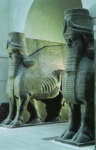Крылатые быки (шеду) из дворца Саргона II в Дур-Шаррукине