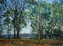 В парке Ариччи