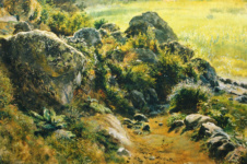 Камни и трава