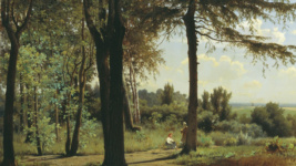 На опушке леса