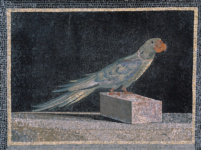 Мозаика с изображением попугая