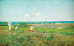 Рядом с пляжем, Шайнкок