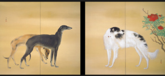 Собаки из Европы