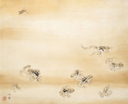 Ясный день в сезон дождей