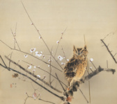 Раннее цветение сливы