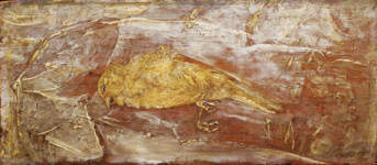 Мертвая птица