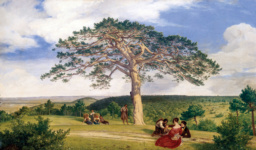 Широкая сосна в Брюле у Мёдлинга