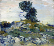 Скалы