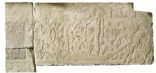 Гробница Хетепет: камера для жертвоприношений, рельеф с изображением плавания на пруду