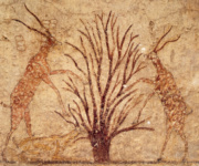 Фрагмент западной стены гробницы Аменемхета (BH 2), газели у дерева