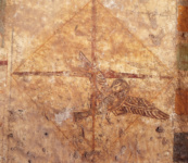 Фрагмент северной стены гробницы Хети (BH 17), западня для птиц