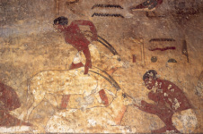 Фрагмент северной стены гробницы Хнумхотепа II (BH 3), пастухи с антилопами