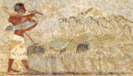 Фрагмент северной стены гробницы Хнумхотепа II (BH 3), подсчет журавлей
