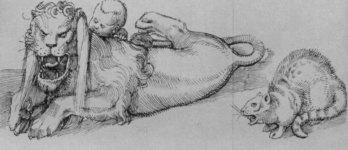 Молитвенник императора Максимилиана I, фрагмент: Рычащий лев и кричащая кошка