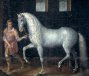 Испанская лошадь, захваченная в битве при Ньюпорте
