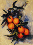 Апельсиновая ветвь с плодами