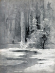 Ранняя весна. Лесная глушь