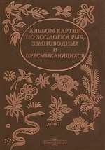 Читать онлайн «Сексуальная энергетика – 3», Виктор Руксов – ЛитРес