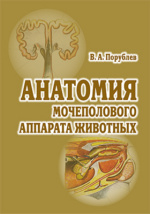 Общероссийский классификатор основных фондов (ОКОФ) ОК 013-2014 (СНС 2008)