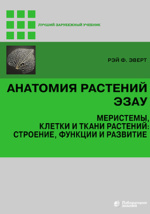 Шпаргалка: Меристемы или образовательные ткани